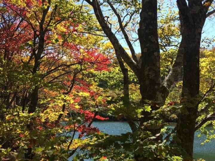 Forest Inn Sangoro Yamagata  Esterno foto